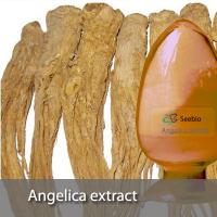 Angelica extract