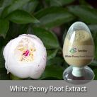 White Peony Root Extract