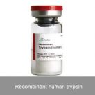 Recombinant human trypsin 