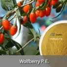 Wolfberry