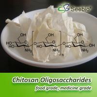 Chitosan Oligosaccharide 