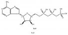 Adenosine 5'-triphosphatase(ATP solution)
