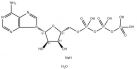 Adenosine 5'-triphosphate disodium salt(ATP solid)